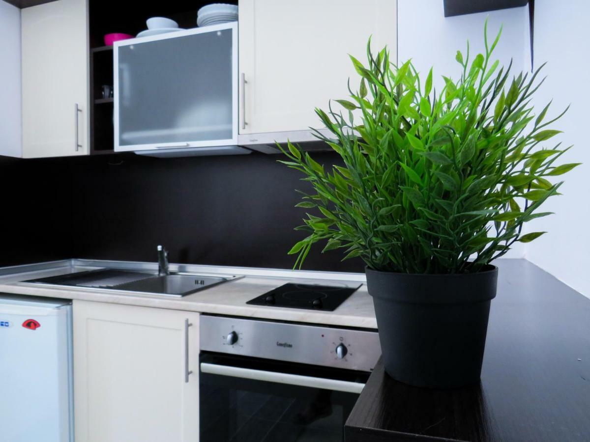 בורובץ Flora Daisy Apartment Nr 28 מראה חיצוני תמונה
